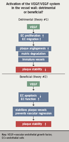 Br-J-Cardiol-2009-16-S2-S11-S13-figure-3