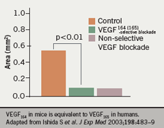 Br-J-Cardiol-2009-16-S2-S9-S10-figure-3