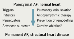 Figure 1. Component parts of atrial fibrillation (AF) and potential interventions