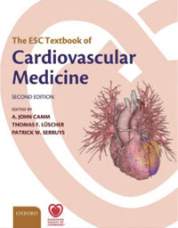 Br-J-Cardiol-2010-17-295-3