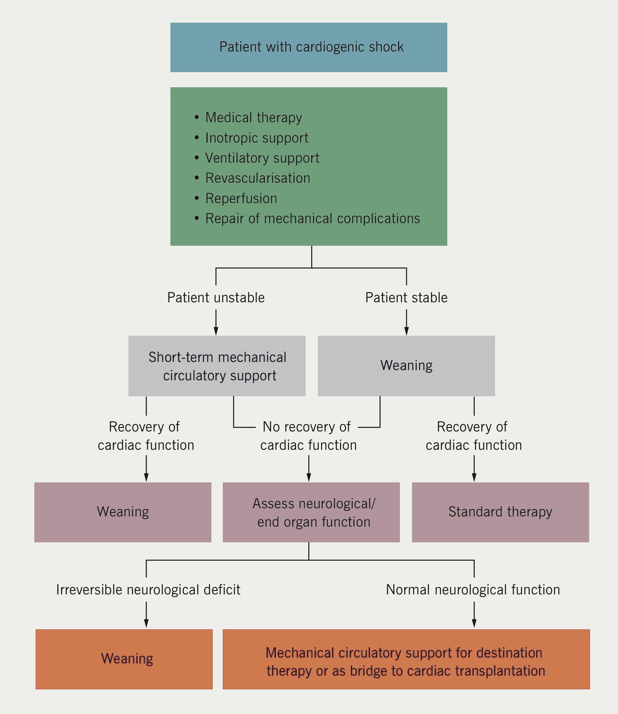 Nice Guidelines For Acute Heart Failure Long On Pills Short On