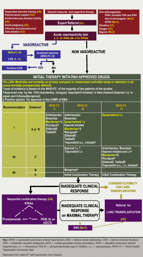 Figure 7. Evidence-based treatment algorithm for PAH