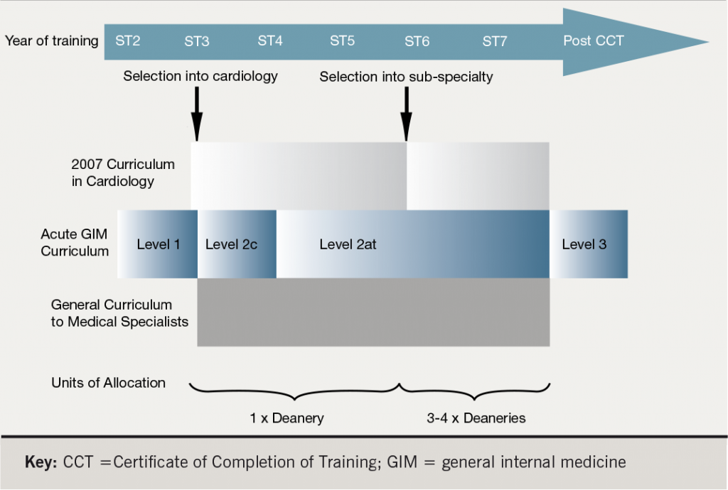 the-2007-curriculum-in-cardiology-an-overview-for-trainees-and