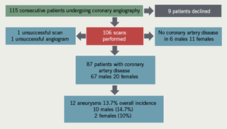 Figure 2. Summary of findings