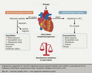 Neurohumoral activation in heart failure and the implications for ...