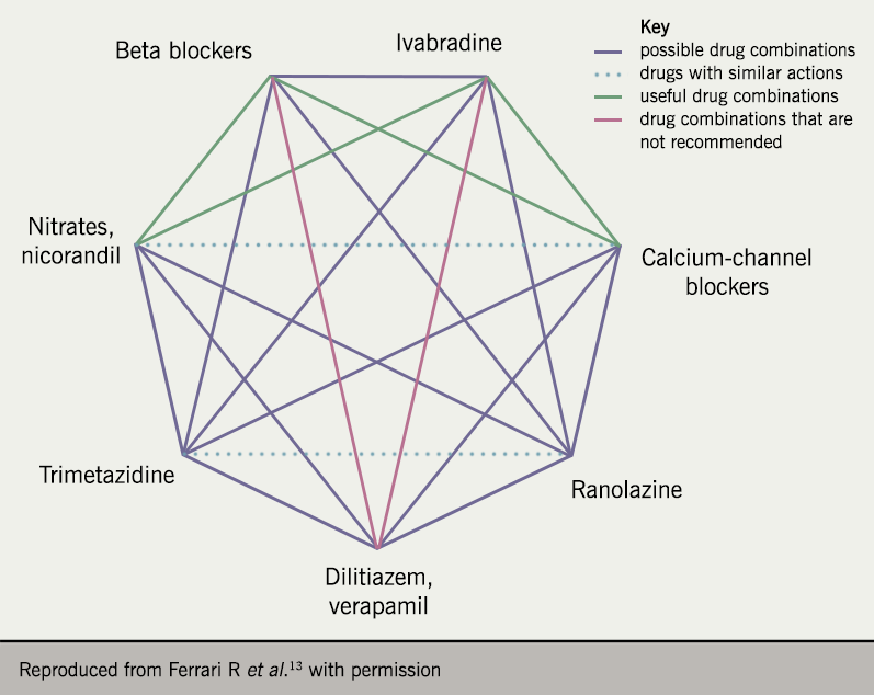 Antianginal Agents and Hypotensive Agents - ppt download