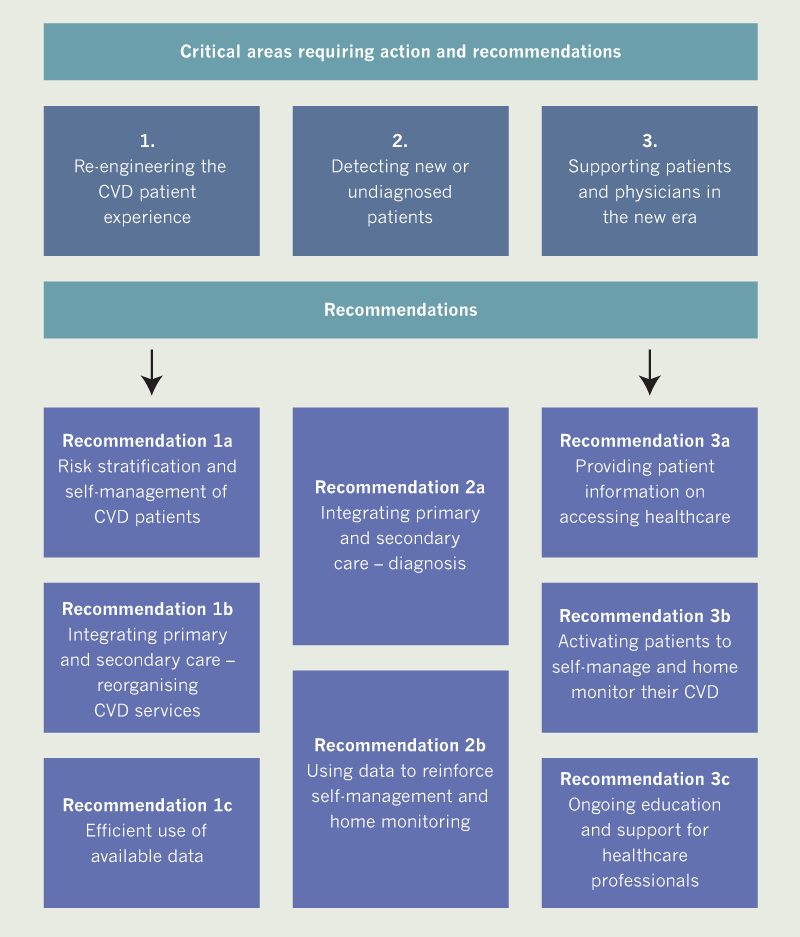 BJC 2020 supplement 2 - Figure 3. Summary of the steering committee recommendations for adapting cardiovascular (CVD) disease care to the ‘new norm’ of the COVID-19 era and beyond