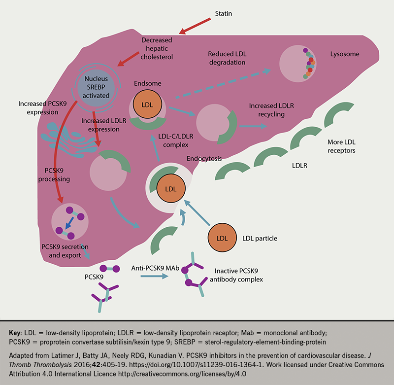 Lipids module 4: treatment of dyslipidaemia