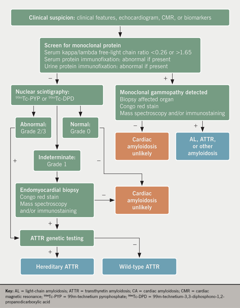 Amyloid Heart Disease Module 1: Diagnosis