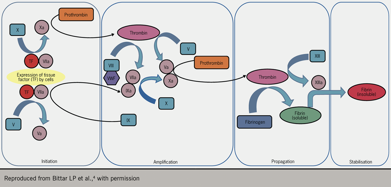 Anticoagulation Module 1: Introduction To Antithrombotic Therapy