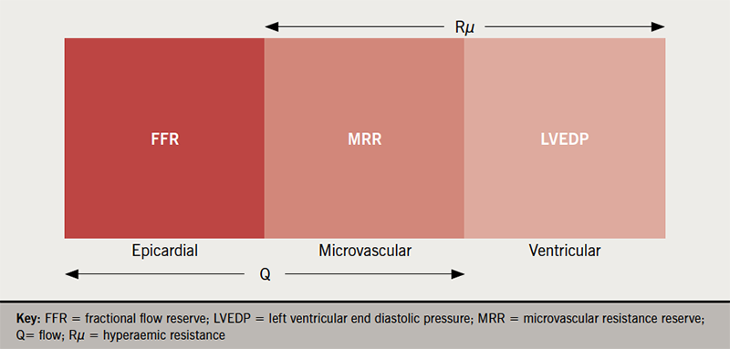 Lim - Figure 3. Relationship between flow indices