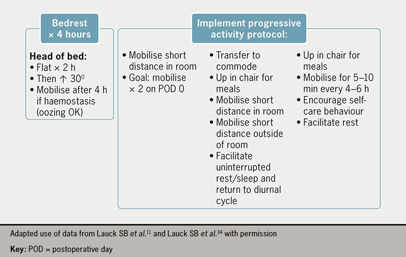 Lauck - Figure 3. Early mobilisation protocol11,34