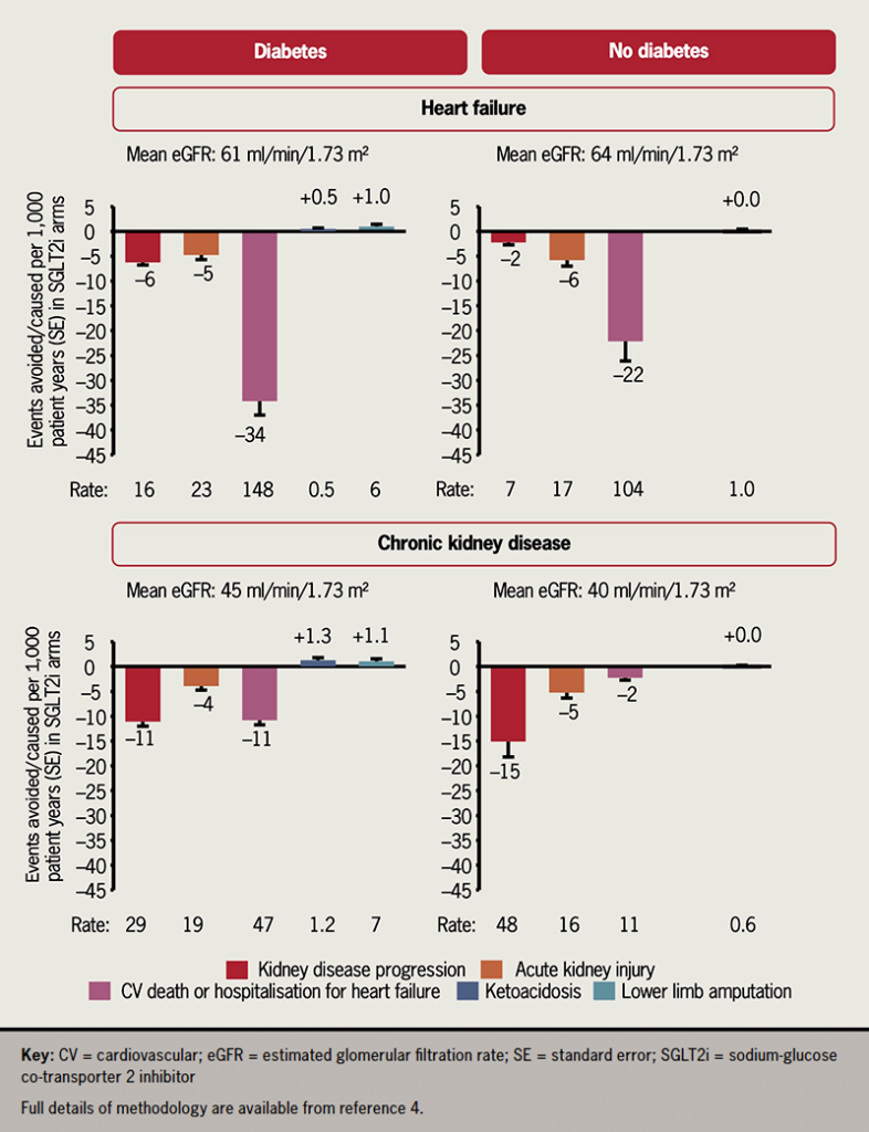 Sglt2 Inhibitors In Ckd And Hfpef Two New Large Trials And Two New