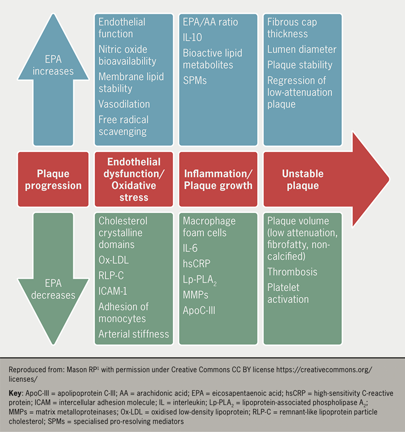 BJC Supplement 2 - Zaman - Figure 1. Atheroprotective effects of EPA during progression of arterial disease, including endothelial dysfunction, oxidative stress, inflammation and changes in plaque stability