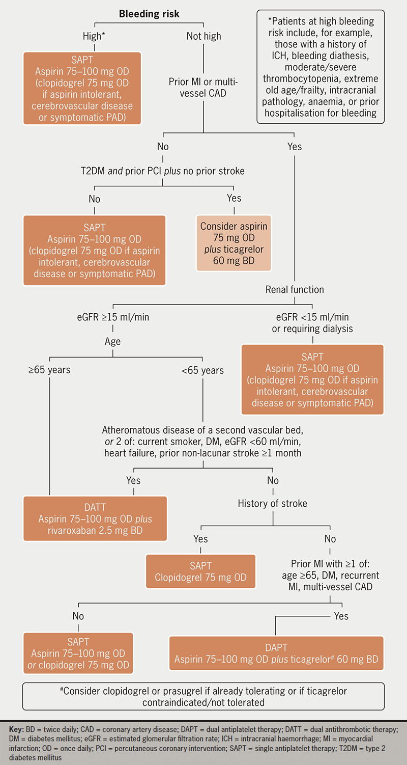 Shaji - Figure 1. Potential algorithm for long-term antithrombotic regimen selection to optimise stroke prevention for patients with chronic coronary syndromes (CCS) without a history of atrial fibrillation or flutter