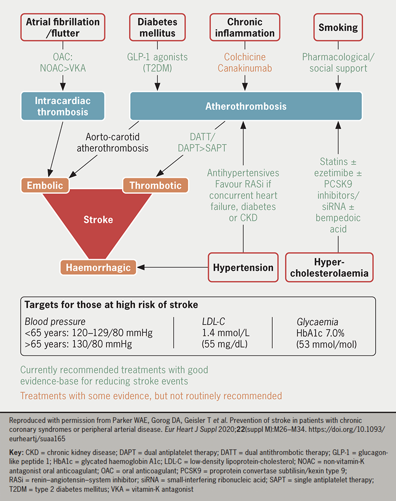 Shaji - Figure 2. Modifiable risk factors for stroke in patients with CCS or peripheral arterial disease (PAD) and evidence-based therapies to address these