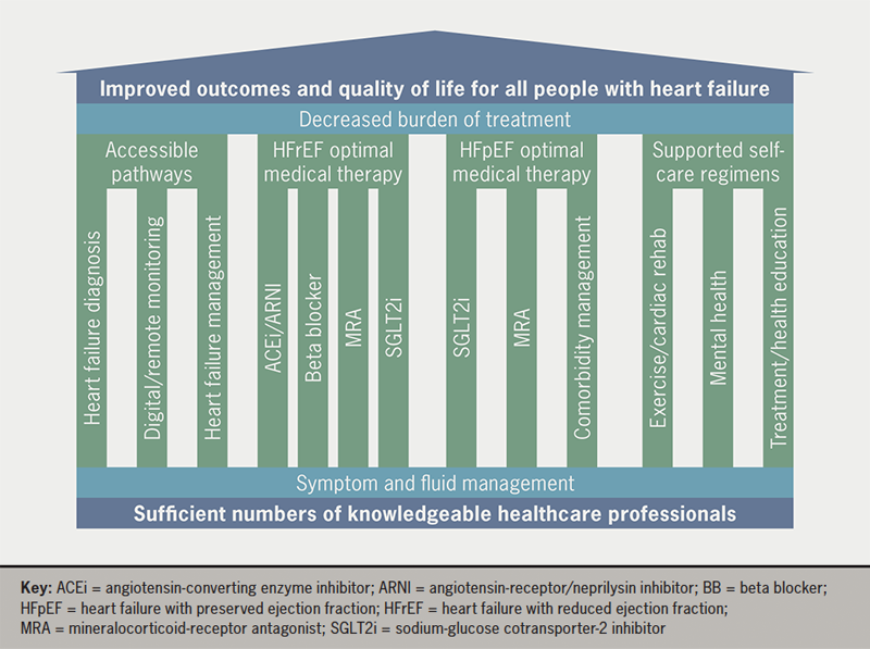 Austin - Figure 1. Proposed inclusive patient-centred pillars of care for all types of heart failure