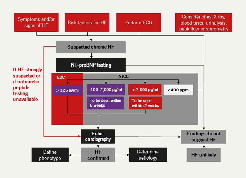 Heart failure module 2 - Figure 20. Diagnostic workup in chronic heart failure