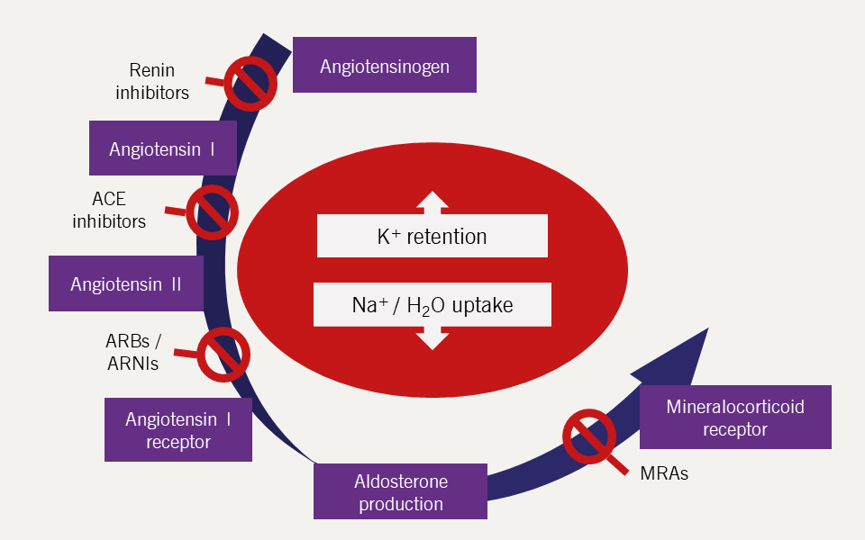 Heart failure module 6: commonly encountered complications in HF