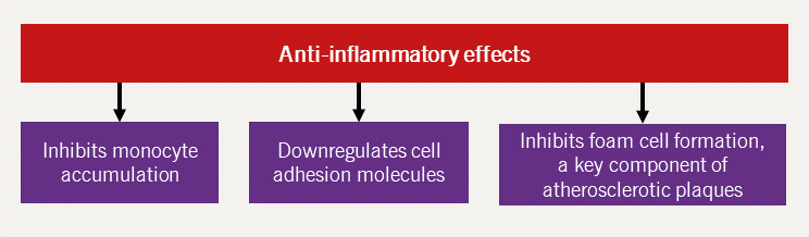 Lipids Module 4 - Figure 13. Anti-inflammatory effects of HDL-C