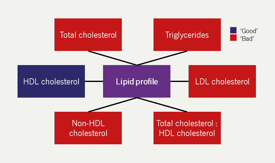 Lipids module 3 - Figure 6. The components of a lipid profile on biochemical testing