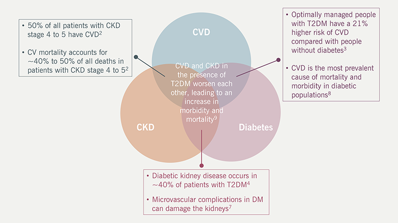 Cardiovascular Exchange Summit Supplement - Figure 1. The interplay between CVRM conditions