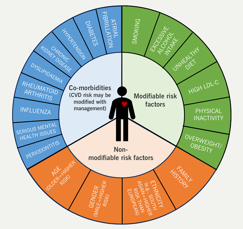 Cardiovascular Exchange Summit Supplement - Figure 2. CVD risk factors can be modifiable or non-modifiable