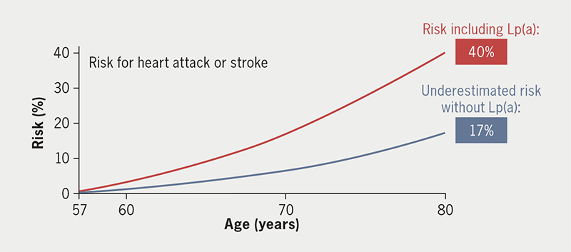 Cegla - Figure 1. Risk for a heart attack or stroke calculated up to 80 years of age using the Lp(a) Clinical Guidance calculator (http://www.lpaclinicalguidance.com/) with (red) and without (blue) incorporating lipoprotein(a) (Lp[a]) levels