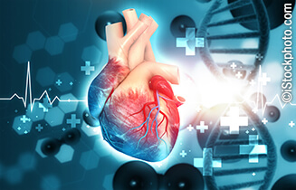 Lipoprotein(a) in atherosclerotic heart disease and familial hypercholesterolaemia