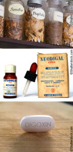 Digoxin: a look back and a look forward