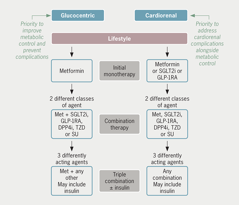 Bailey - Figure 3. Generalised algorithm for the management of type 2 diabetes (T2DM) based on current guidelines