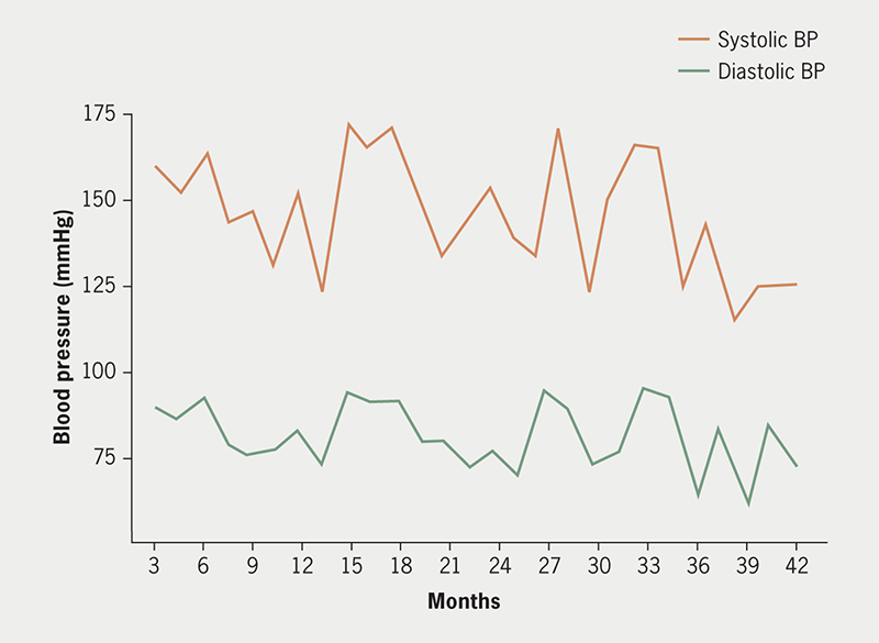 Lai - Figure 2. Long-term blood pressure variability (weeks/months/years)