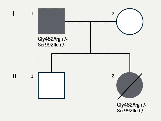 Parameswaran - Figure 1. Pedigree. Grey symbols show affected status. Slash symbol represents a deceased individual