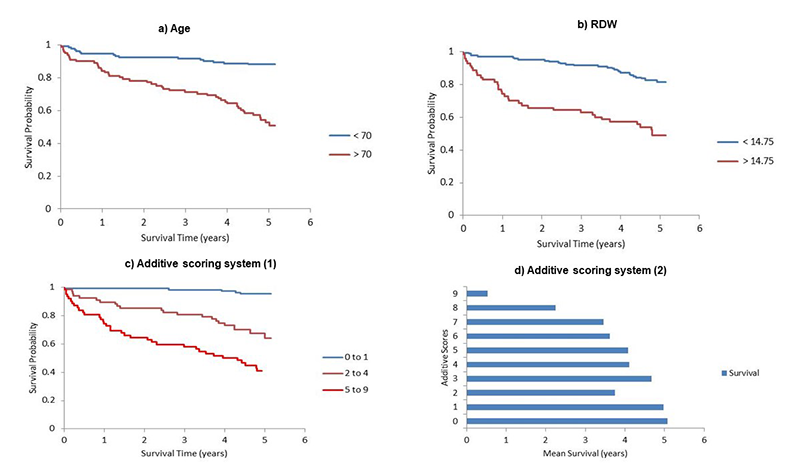 Leung - Supplementary figure 2. Kaplan-Meier analyses and additive scoring system