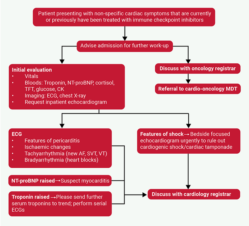 Yang - Figure 1. Suggested diagnostic and management flowchart for patients presenting with suspected immune checkpoint inhibitor cardiac toxicities