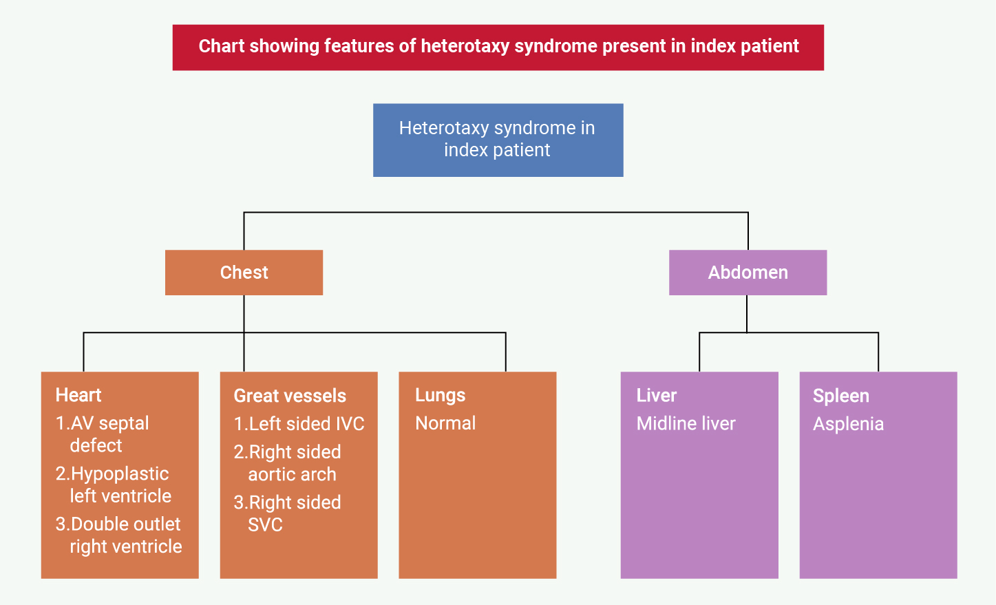 Akintoye - Figure 1. Chart showing features of heterotaxy syndrome present in the index patient