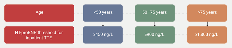 Madu - Figure 1. British Society of Echocardiography (BSE) age-adjusted N-terminal pro-B-type natriuretic peptide (NT-proBNP) threshold to indicate a likely heart failure (HF) diagnosis, therefore, warranting inpatient transthoracic echocardiography (TTE)