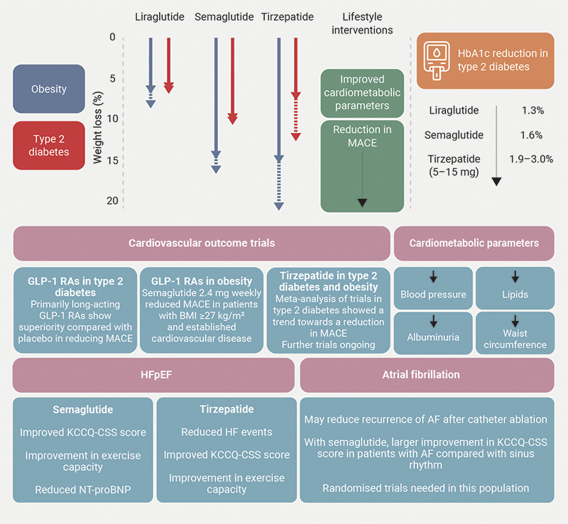 Ayton - Figure 1. Summary of the clinical trials of glucagon-like peptide-1 (GLP-1) receptor agonists (RAs) and related therapies