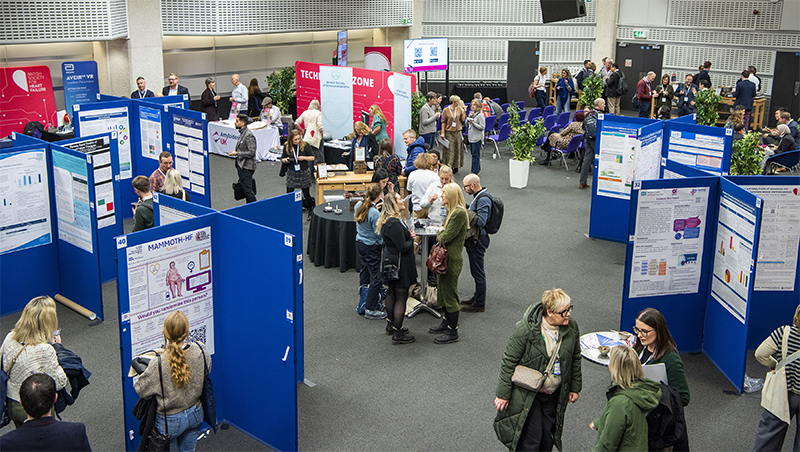 BSH 2025 meeting - poster session