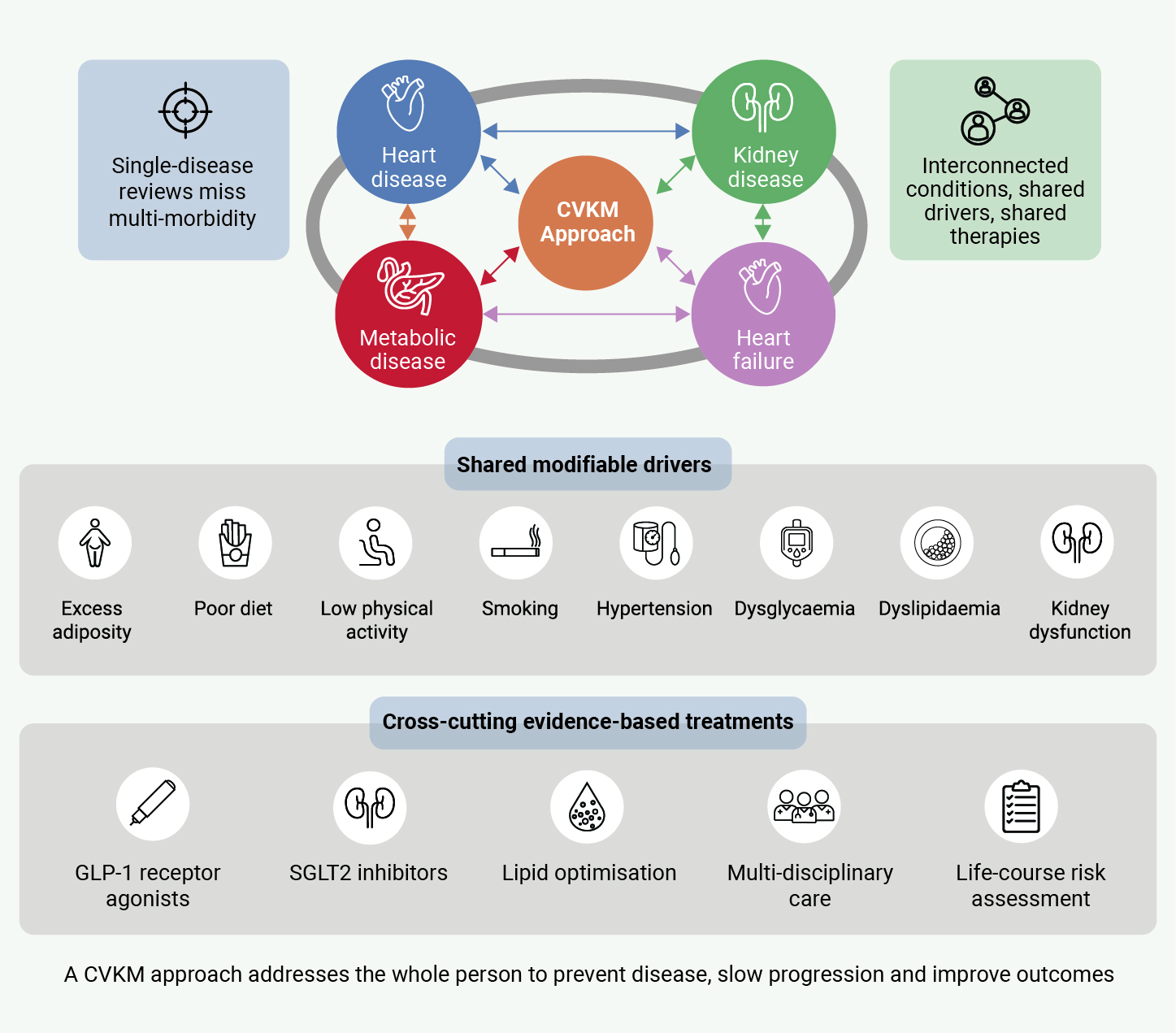 Khatib - Figure 1. Why a cardiovascular–kidney–metabolic (CVKM) approach is needed