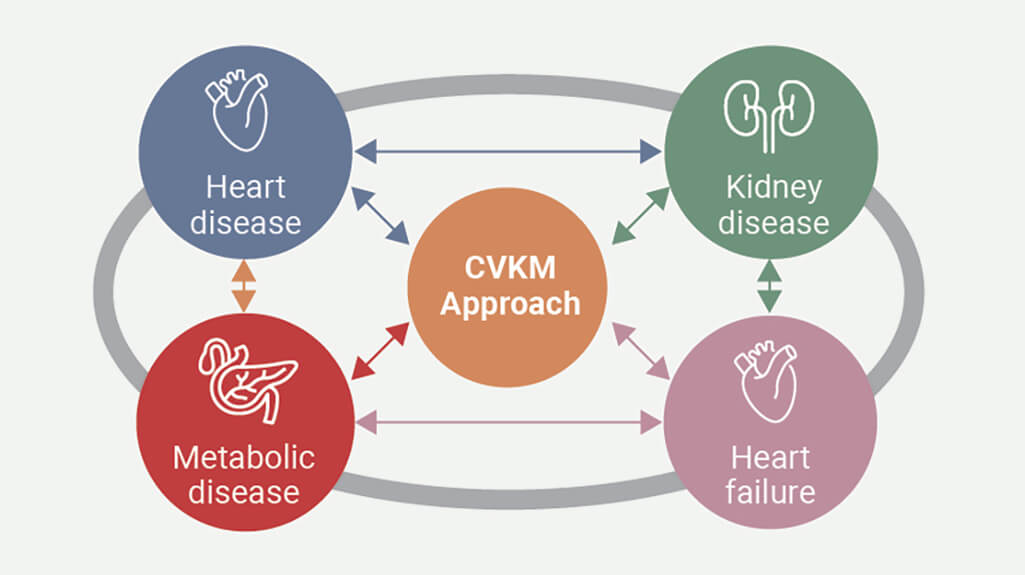 CVKM care in practice: towards a coherent cardiovascular–kidney–metabolic mindset